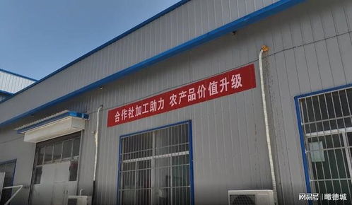 德州德城区“新农人”张奇勋 科技赋农、三产融合，带领乡邻共富的先行者